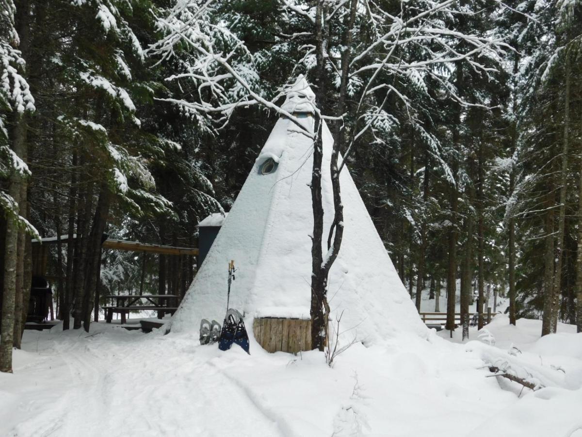 Aux Tipis De La Riviere Sauvage Villa Saint Romain Ngoại thất bức ảnh